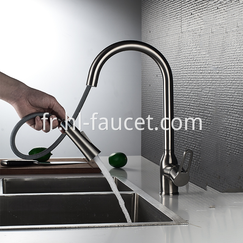 Brushed Nickel Kitchen Faucet